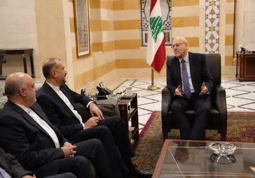 واکنش وزیر امور خارجه به شهادت ابراهیم عقیل