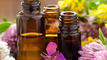 با این روغن‌های گیاهی سلامت پوست و موی خود را تضمین کنید
