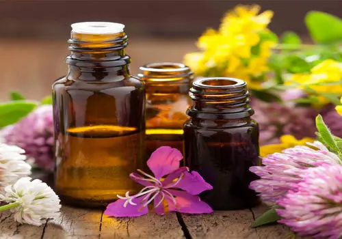 با این روغن‌های گیاهی سلامت پوست و موی خود را تضمین کنید
