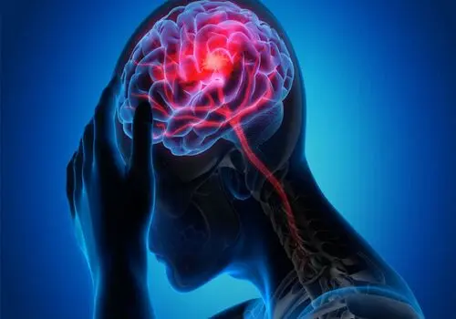 این نوشیدنی های ممنوعه چه بر سر مغز می‌آورند؟