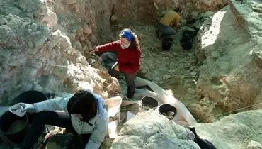 کشف غاری ۴۳ هزار ساله پر از جمجمه حیوانات! + عکس
