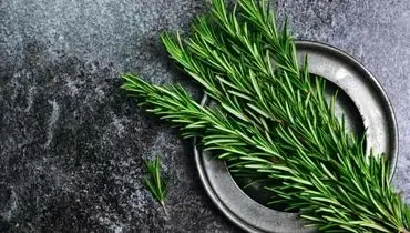 گیاهی که جای زخم را ترمیم می کند!