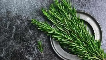 گیاهی که جای زخم را ترمیم می کند!
