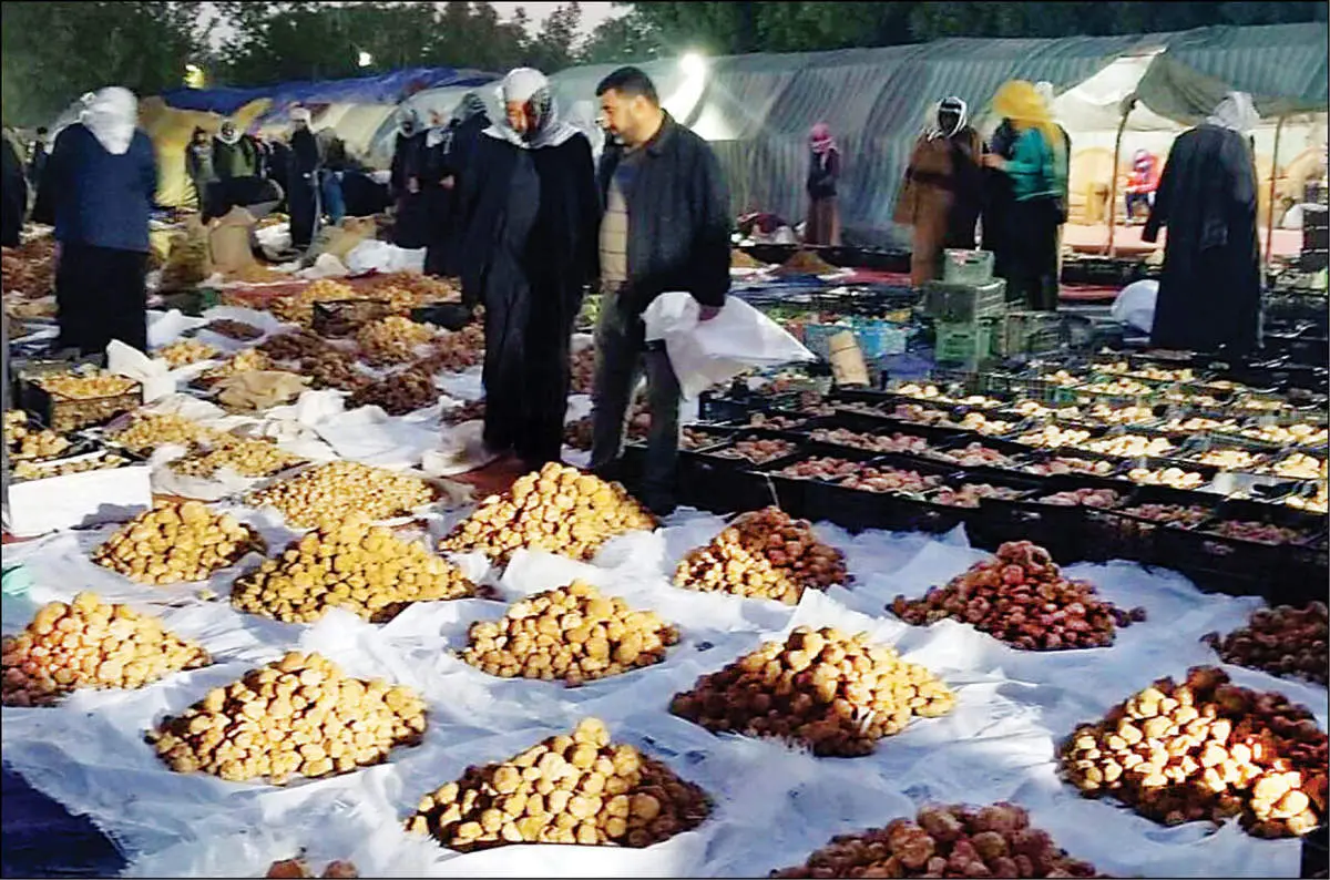  الماس سیاه ایران کیلویی ۳۰۰ میلیون تومان !