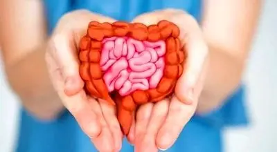 پزشکان: بازسازی سلامت روده با عادت‌های ساده، نه رژیم‌های افراطی