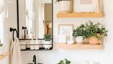 با این ۴ گیاه، حمام‌تان را به بهشت سبز تبدیل کنید!

