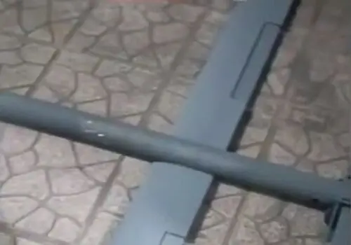 مهار یک ریزپرنده جاسوسی در اراک
