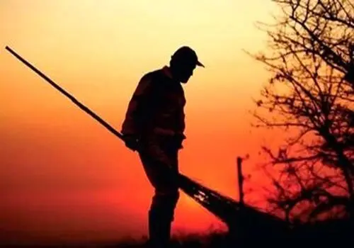 فعالیت پاکبانان تهران در شب ممنوع شد