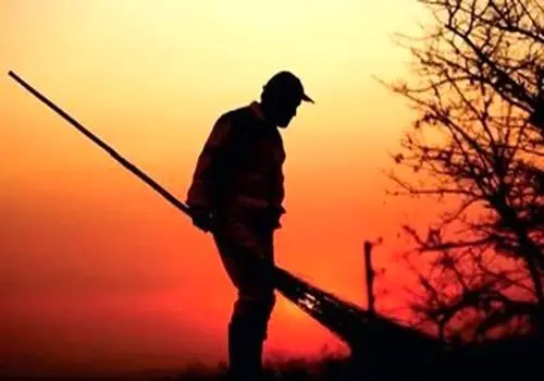 فعالیت پاکبانان تهران در شب ممنوع شد