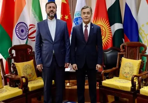 غریب‌آبادی برای انجام مذاکرات فنی در سوئیس ماند