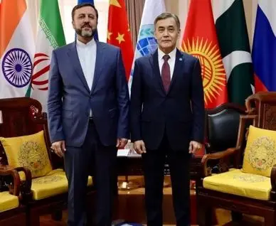 دیدار غریب‌آبادی با دبیرکل سازمان همکاری شانگهای