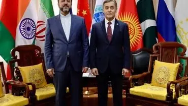 دیدار غریب‌آبادی با دبیرکل سازمان همکاری شانگهای