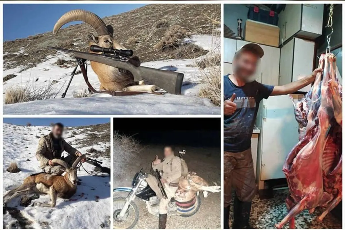سردسته شکارچیان غیرمجاز استان تهران دستگیر شد
