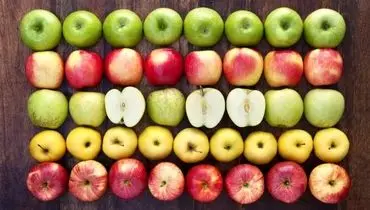 سیب زرد، سبز یا قرمز؛ کدام برای سلامتی بهتر است؟
