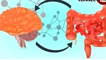 تغذیه مناسب برای سلامت روده در روزهای استرس زا