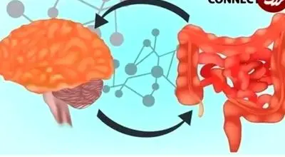 تغذیه مناسب برای سلامت روده در روزهای استرس زا
