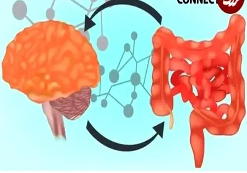 با این انتخاب های تغذیه ای مناسب در بحران، آرامش بیشتری داشته باشید