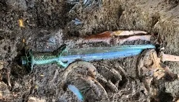 تصاویر جذاب  شمشیری که بعد از 3400 سال «تیز و درخشان» باقی مانده است + عکس
