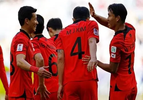 فغانی، داور بازی حساس جام ملت‌های آسیا