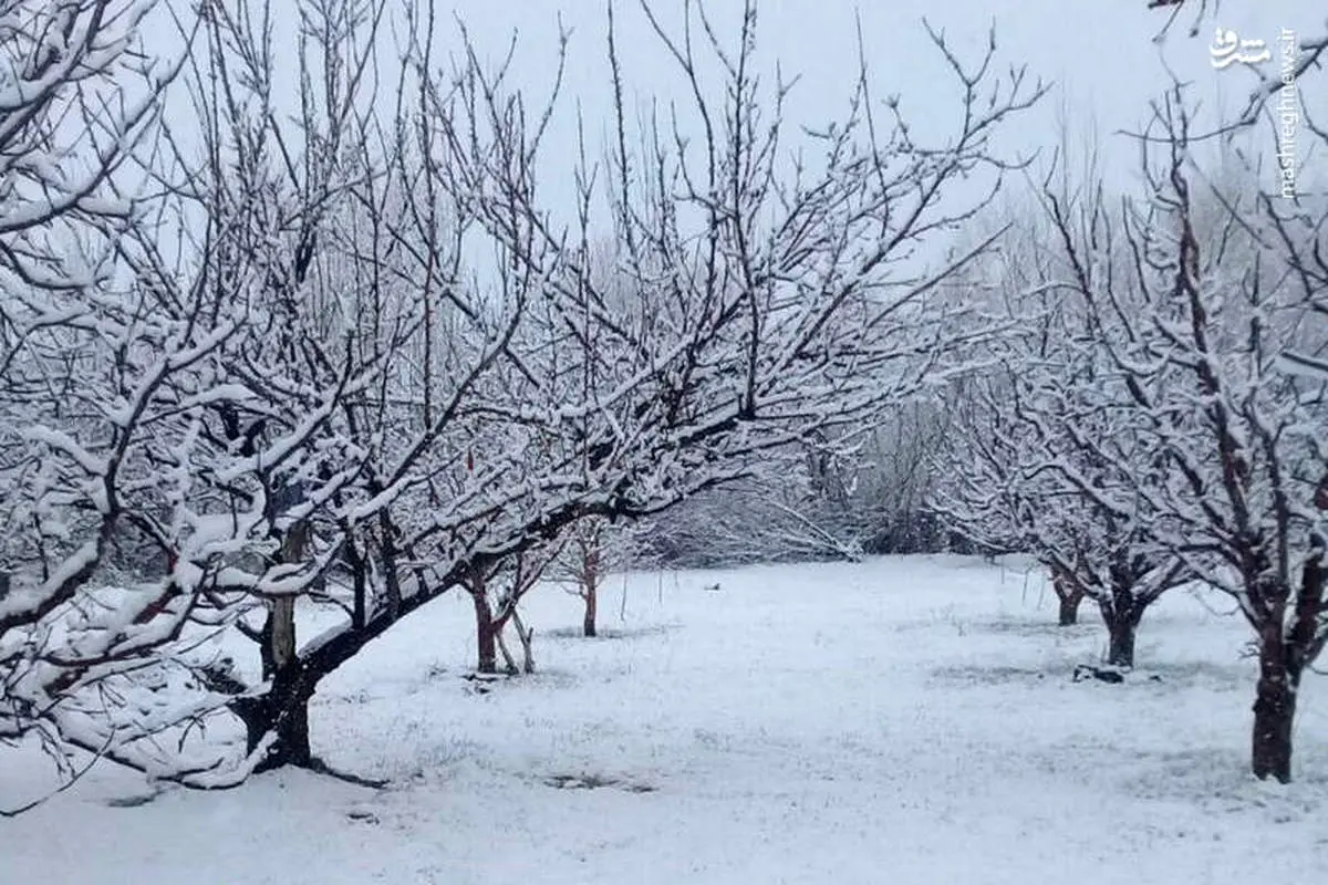 پیش‌بینی ۵ روزه هوای تهران/ برف و باران ادامه دارد
