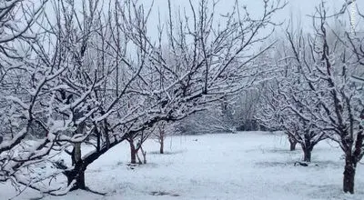 پیش‌بینی ۵ روزه هوای تهران/ برف و باران ادامه دارد
