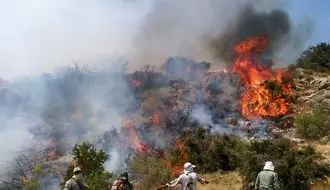 آتش منطقه الیت مهار شد؛ وسعت کمتر از ۸ هکتار + فیلم