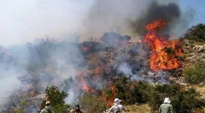 آتش منطقه الیت مهار شد؛ وسعت کمتر از ۸ هکتار + فیلم