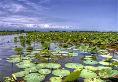 مهار آتش‌سوزی مغازه لوازم یدکی موتورسیکلت +فیلم