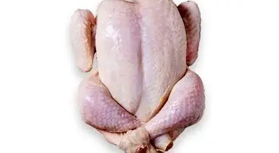 قیمت مرغ به زیر ۲۰۰هزار تومان رفت 
