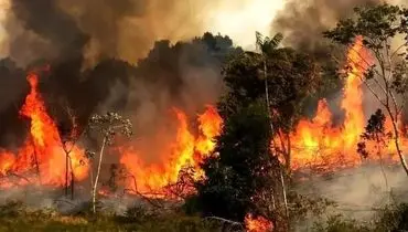 آتشسوزی جنگل الیت چالوس از دیدگاه ناسا + تصاویر