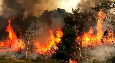 آتشسوزی جنگل الیت چالوس از دیدگاه ناسا + تصاویر