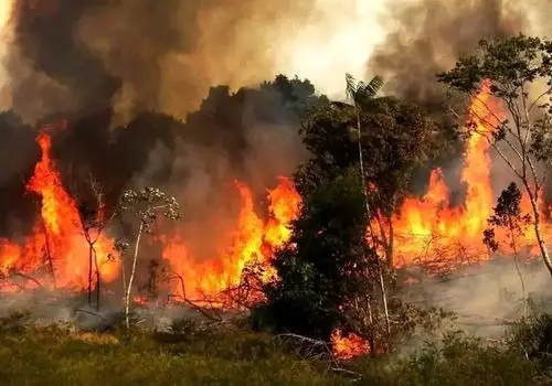 آتشسوزی جنگل الیت چالوس از دیدگاه ناسا + تصاویر