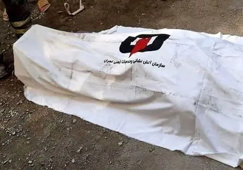 کشف جسد مثله شده یک زن در چمدان صورتی+عکس
