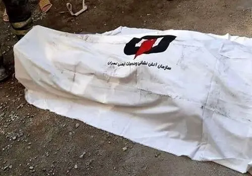 کشف جسد مثله شده یک زن در چمدان صورتی+عکس
