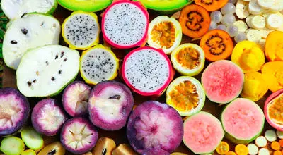 خوراکی‌های ضدپیری؛ ۹ میوه مفید برای افزایش طول عمر