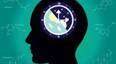 برنامه ریزی درسی براساس چرخه های مغزی
