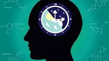 برنامه ریزی درسی براساس چرخه های مغزی
