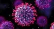 متخصص اورولوژی: واکسن HPV مصونیت کامل ایجاد نمی‌کند؛ فقط از 2 تا 9 تیپ ویروسی پیشگیری می‌کند
