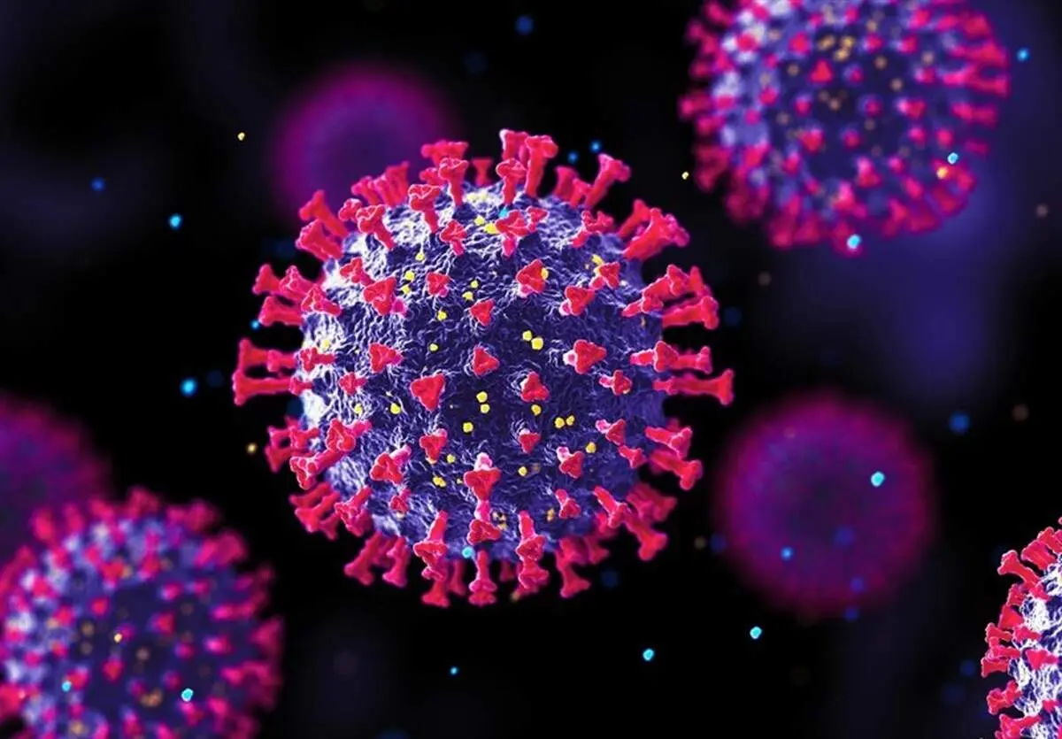 متخصص اورولوژی: واکسن HPV مصونیت کامل ایجاد نمی‌کند؛ فقط از 2 تا 9 تیپ ویروسی پیشگیری می‌کند
