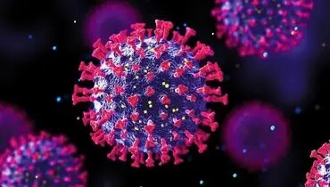 متخصص اورولوژی: واکسن HPV مصونیت کامل ایجاد نمی‌کند؛ فقط از 2 تا 9 تیپ ویروسی پیشگیری می‌کند