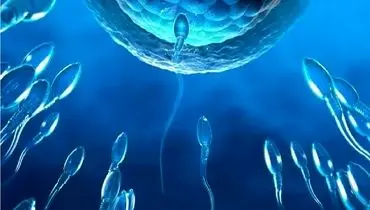 راهی تازه برای کنترل بارداری
