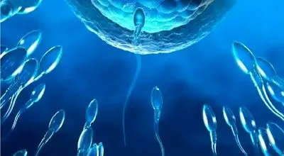 راهی تازه برای کنترل بارداری