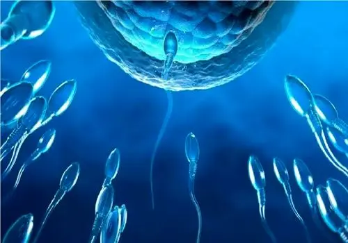 راهی تازه برای کنترل بارداری

