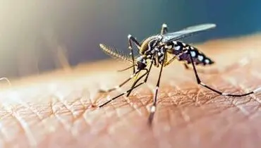 شیوع هشداردهنده یک بیماری خطرناک در این استان