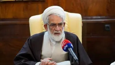 رئیس دیوان عالی کشور: برای کاهش ورودی پرونده‌ها اصلاح قانون در دستورکار بوده است/ هرچه آرا متقن‌تر باشد در اجرای عدالت موثرتر است