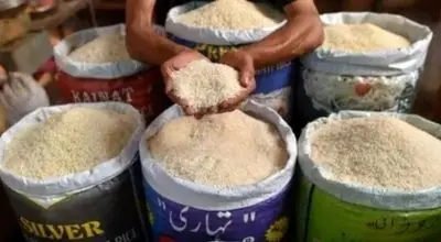 قیمت برنج در ایران؛ این مدل از نیم میلیون تومان گذشت!