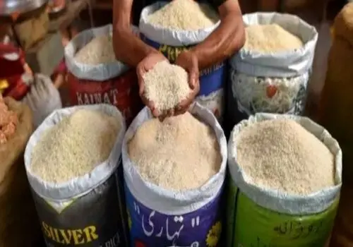 قیمت انواع برنج پاکستانی ۲ اسفند ۱۴۰۴+ جدول