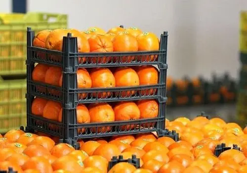 با خوردن این میوه جوان بمانید 
