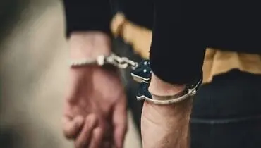 دانشجوی تحت تعقیب آمریکایی در فرودگاه مهرآباد بازداشت شد+عکس