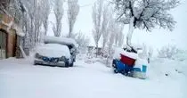 بارش برف بهاری در الیگودرز + فیلم